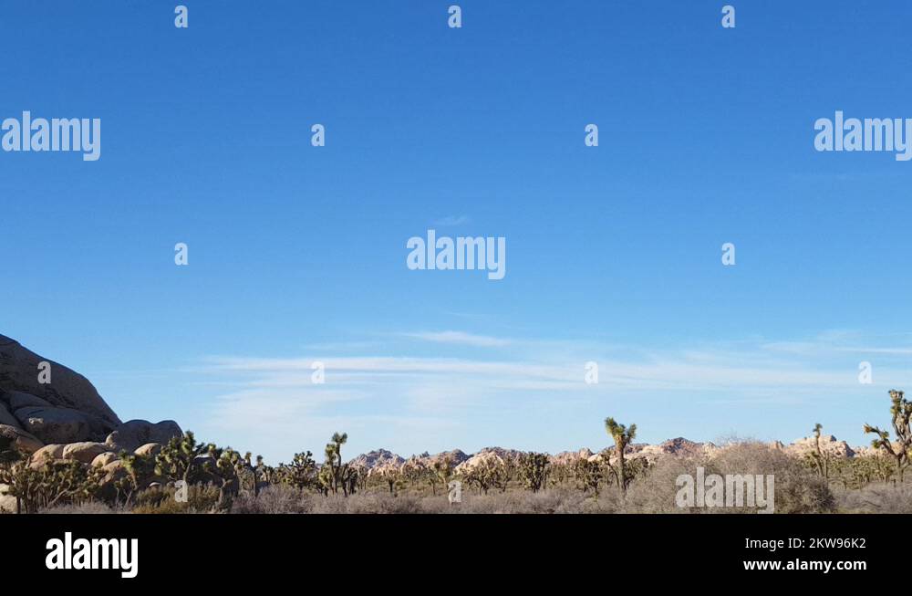 Joshua field, Motion tilt time lapse of rock piles and Joshua tree at
