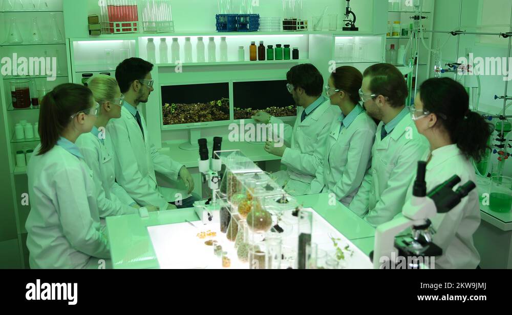 Botany Class with Professor Teaching Students How Plants Grow Biology Laboratory Stock Video