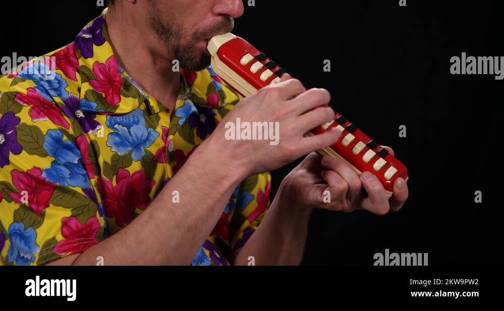 Melodica instrument Stock Videos & Footage HD and 4K Video Clips Alamy