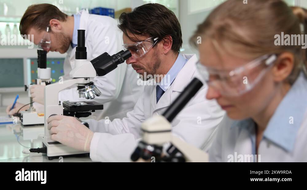 Hospital Microbiology Laboratory Team of Researchers Work Activity on