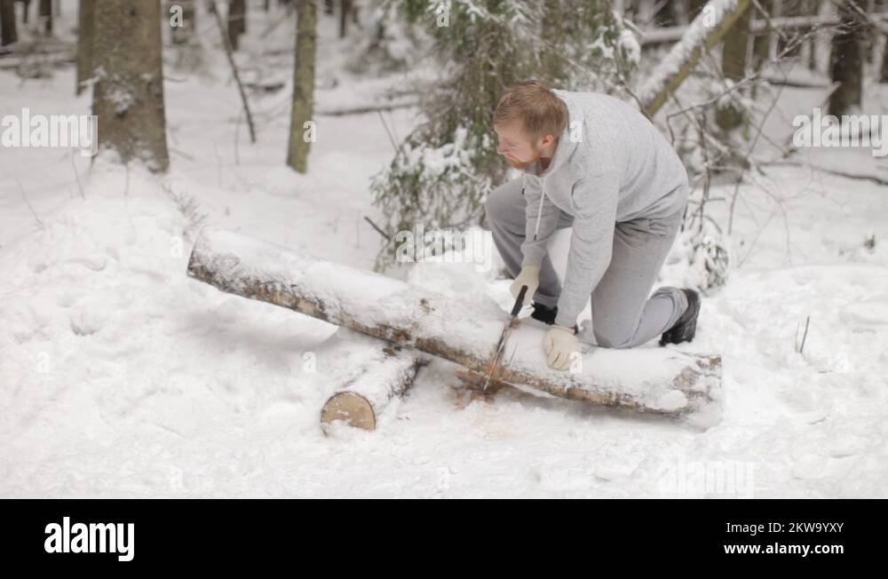 Man Sawing a Tree With a Hand Saw in a Winter Forest Stock Video