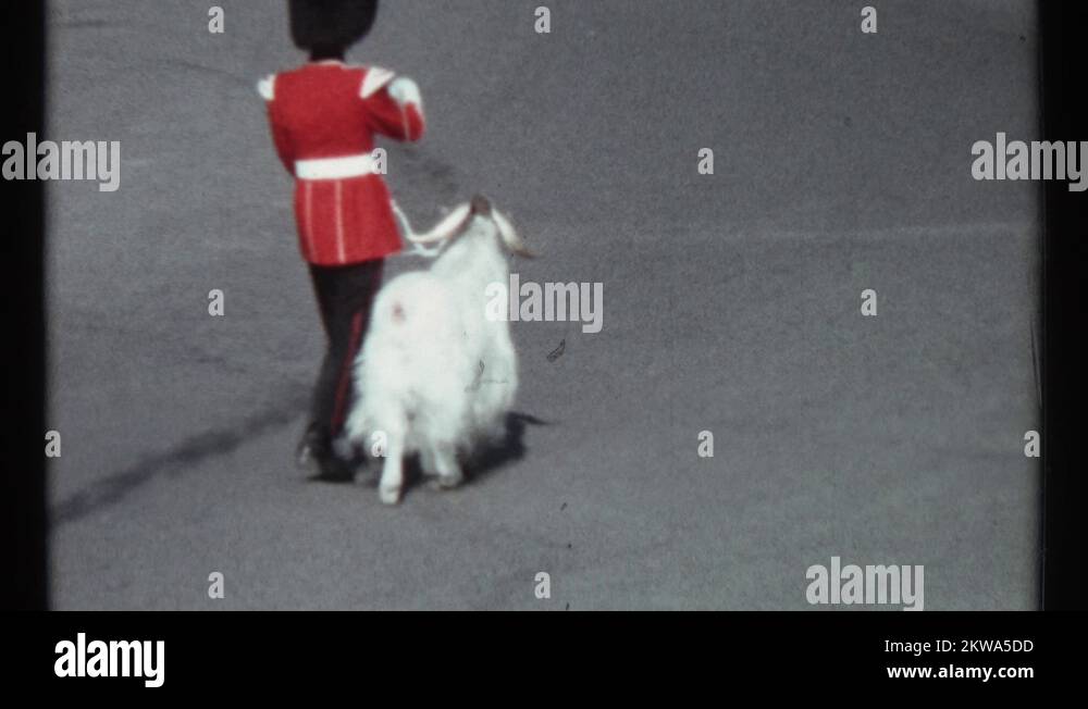 1967 white goat and royal guard lead field commander and marching band