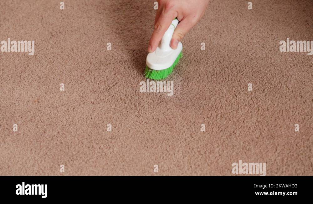 Cleaning carpet stain Stock Videos & Footage HD and 4K Video Clips