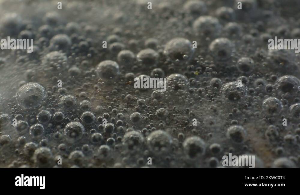 fizzy fizzing bubbles chemical reaction chemistry Stock Video Footage