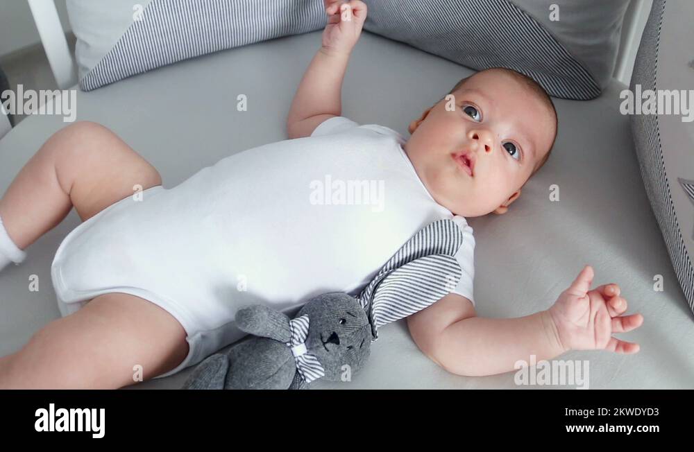 T-shirt Bébé Garçon Blanc - Petit Agneau Brodé - Taille 3-6 Mois - Neuf Avec étiquettes