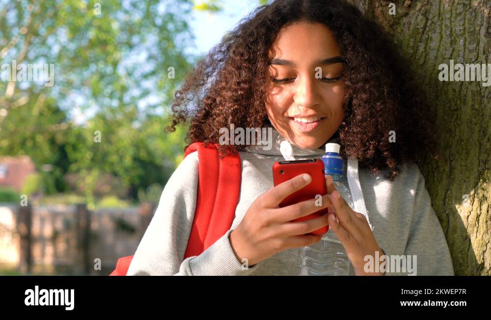 African bottle tree Stock Videos & Footage HD and 4K Video Clips Alamy