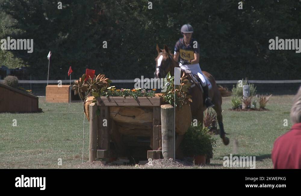 Horse eventing Stock Videos & Footage HD and 4K Video Clips Alamy