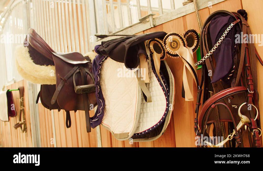 Equestrian discipline Stock Videos & Footage HD and 4K Video Clips