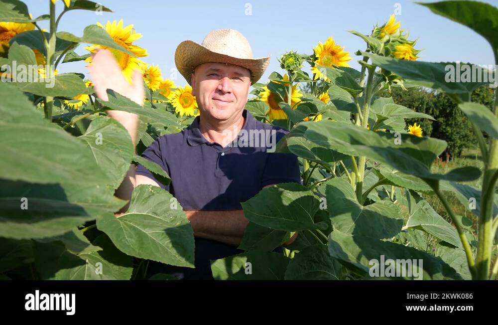 Confidentview Stock Videos & Footage - HD and 4K Video Clips - Alamy