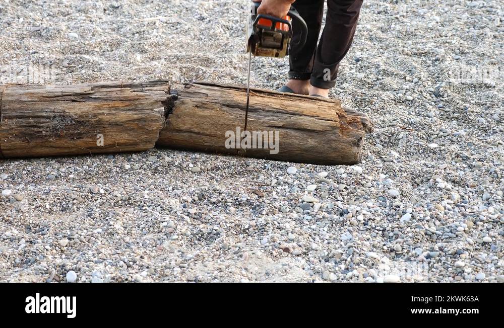 Chainsaw sawing wood. Man saws a log with a chainsaw, carried by the sea during Stock Video