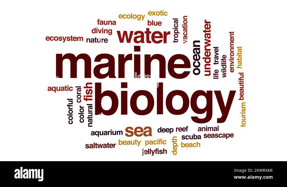 Marine biology animated word cloud, text design animation Stock Video