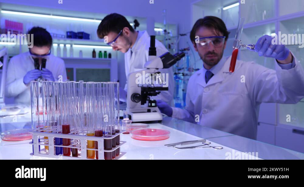 Bacteriology Stock Videos & Footage HD and 4K Video Clips Alamy