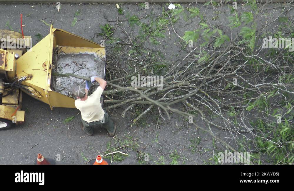 Wood chipper machine Stock Videos & Footage HD and 4K Video Clips Alamy