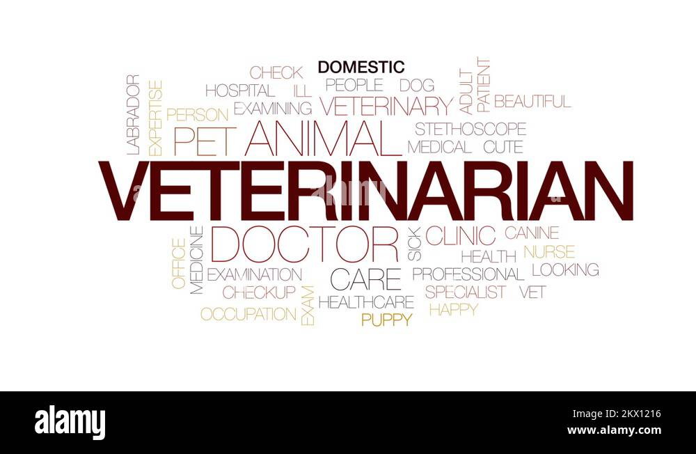 Veterinarian animated word cloud, text design animation.
