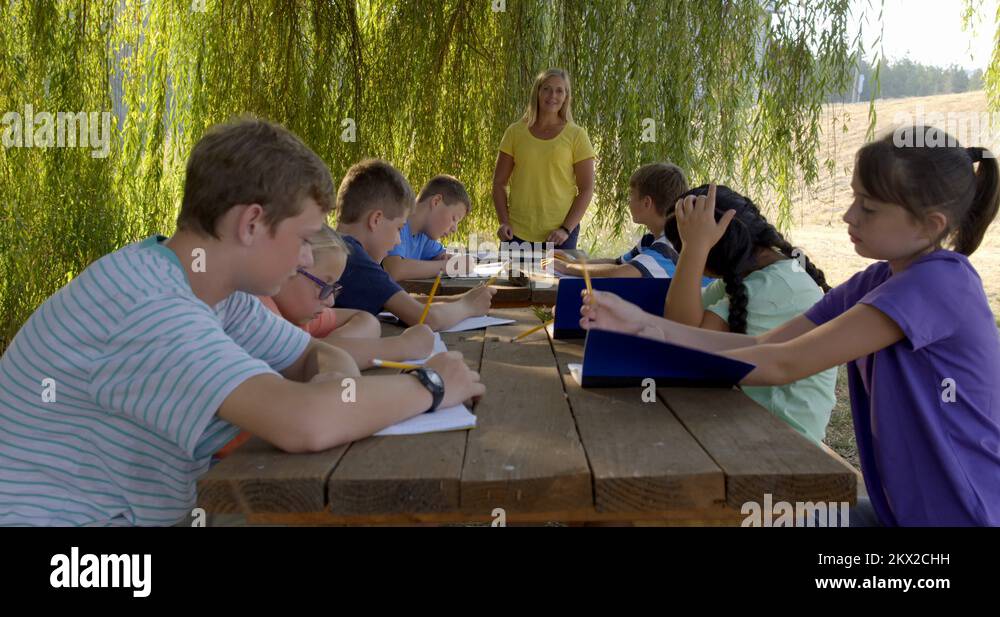 Students at summer camp wooden tables learning from teacher 4K Stock ...