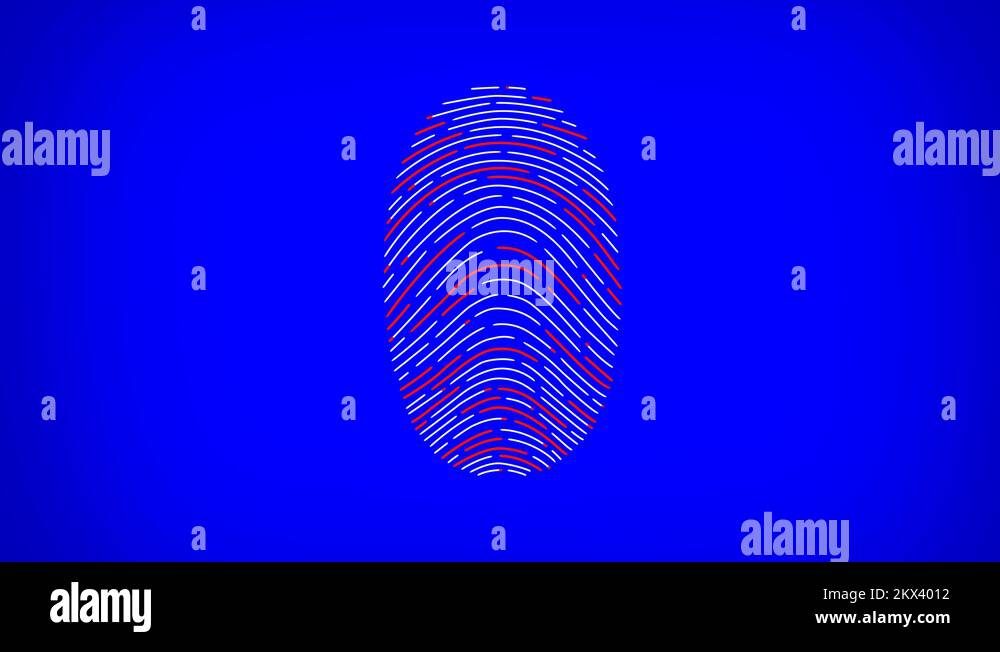 Scanner showing the three basic types of patterns in fingerprints