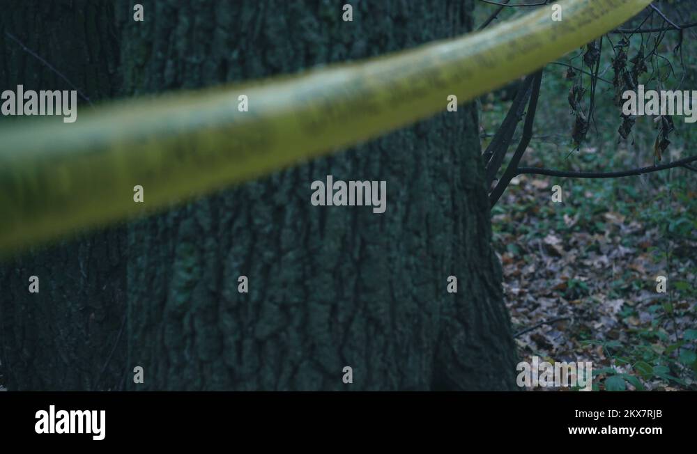 Yellow police crime scene tape in the woods, murder investigation