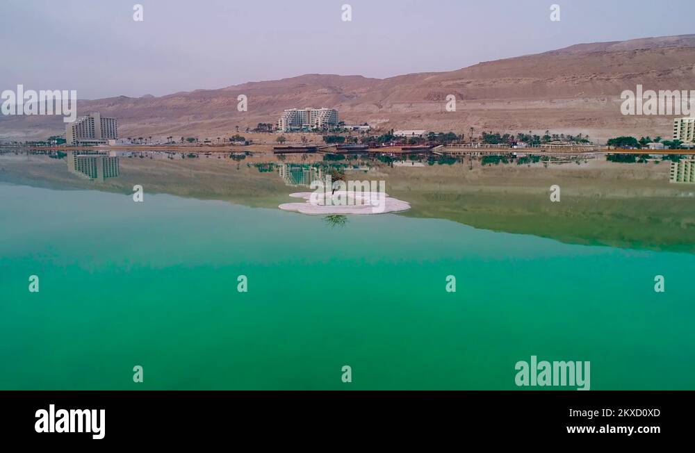 lonely tree on salt island in the Dead Sea Stock Video Footage Alamy