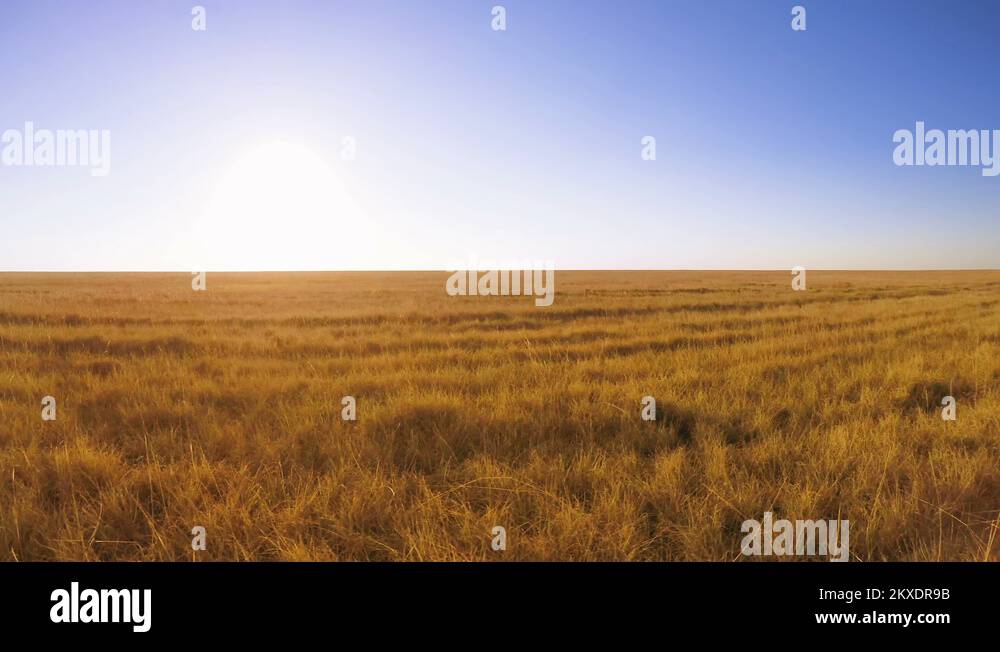 Flat grassland Stock Videos & Footage HD and 4K Video Clips Alamy