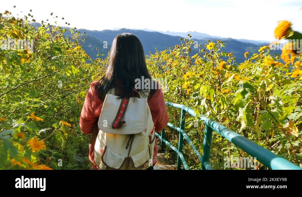 Hiking woman trekking in flora hill with backpack. Rear back view of ...