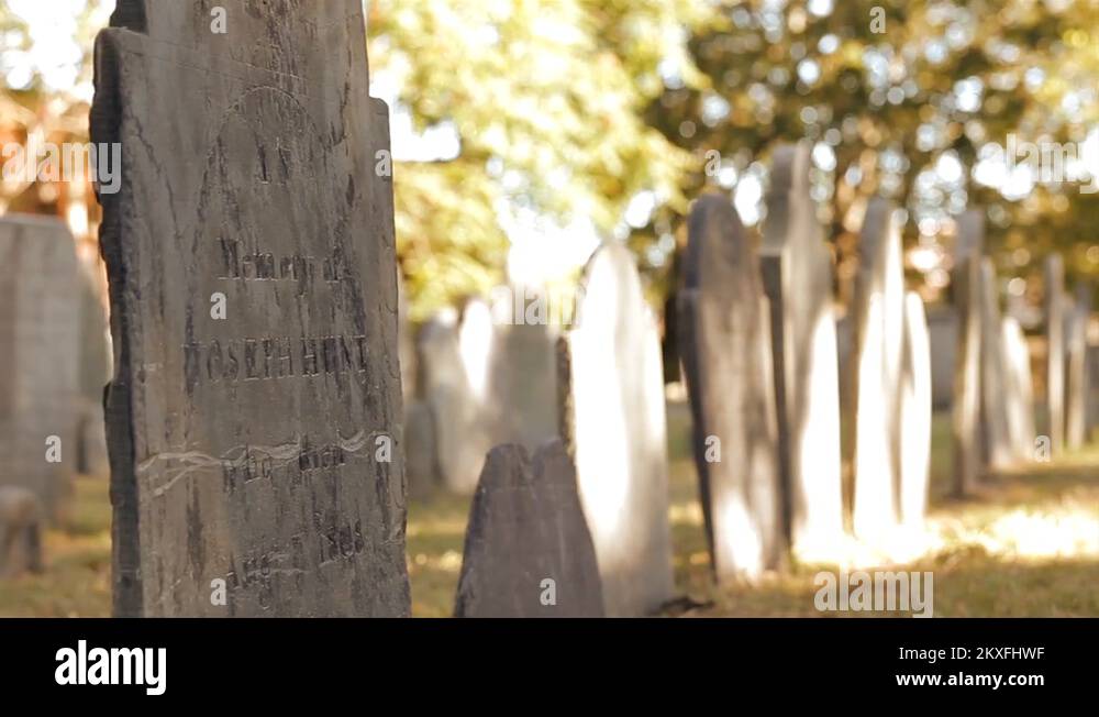 Buried in highgate cemetery london Stock Videos & Footage HD and 4K