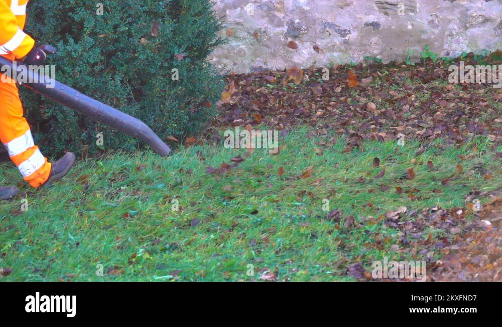 Leaf blower in slow motion action blowing crispy fallen leaves from the