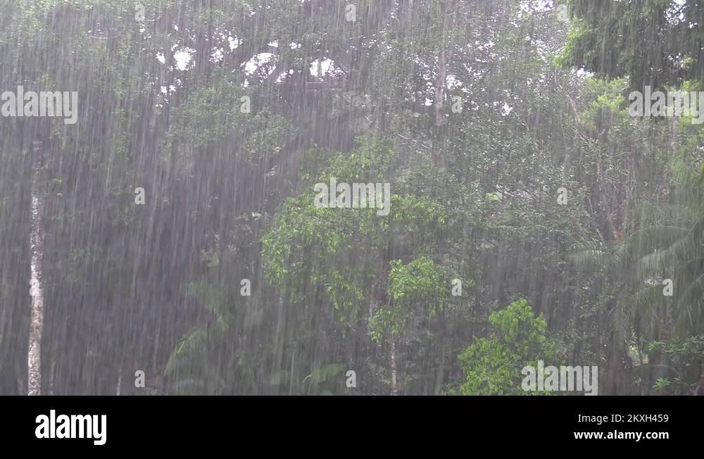 Rain raining precipitation Stock Videos & Footage HD and 4K Video