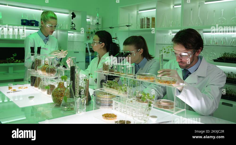 Lab Group of Biologists Collaborate Laboratory on Modified