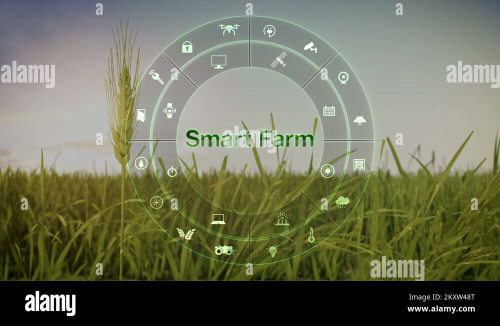 Agriculture iot Stock Videos & Footage - HD and 4K Video Clips - Alamy