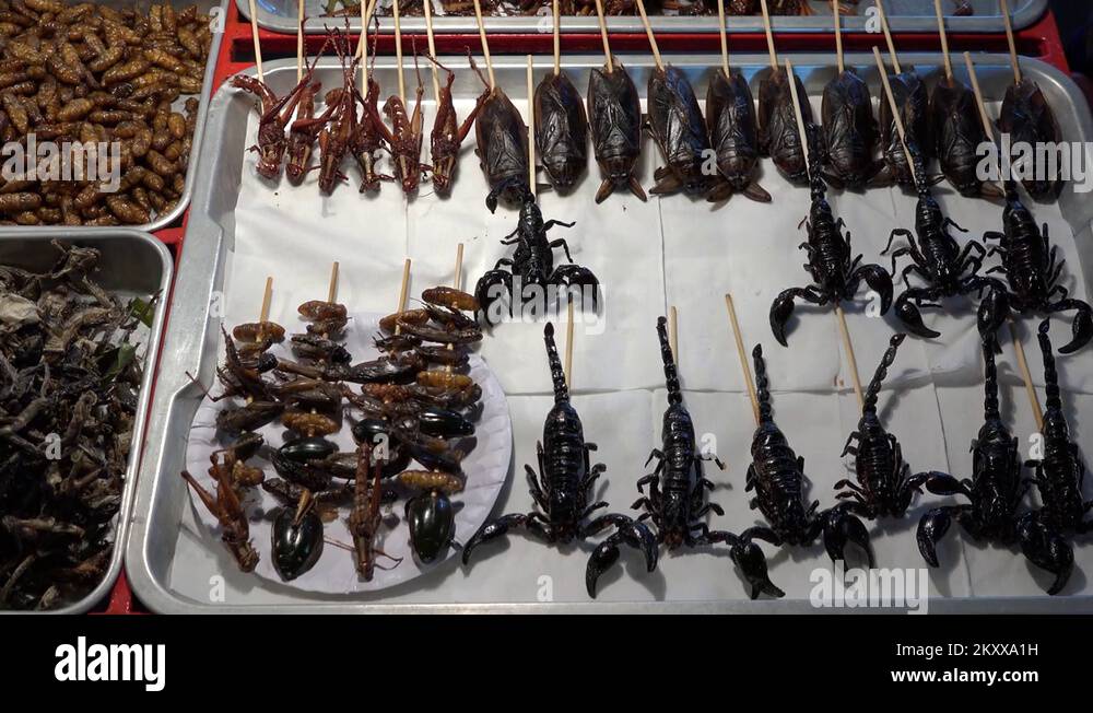 Roasted insects Stock Videos & Footage - HD and 4K Video Clips - Alamy