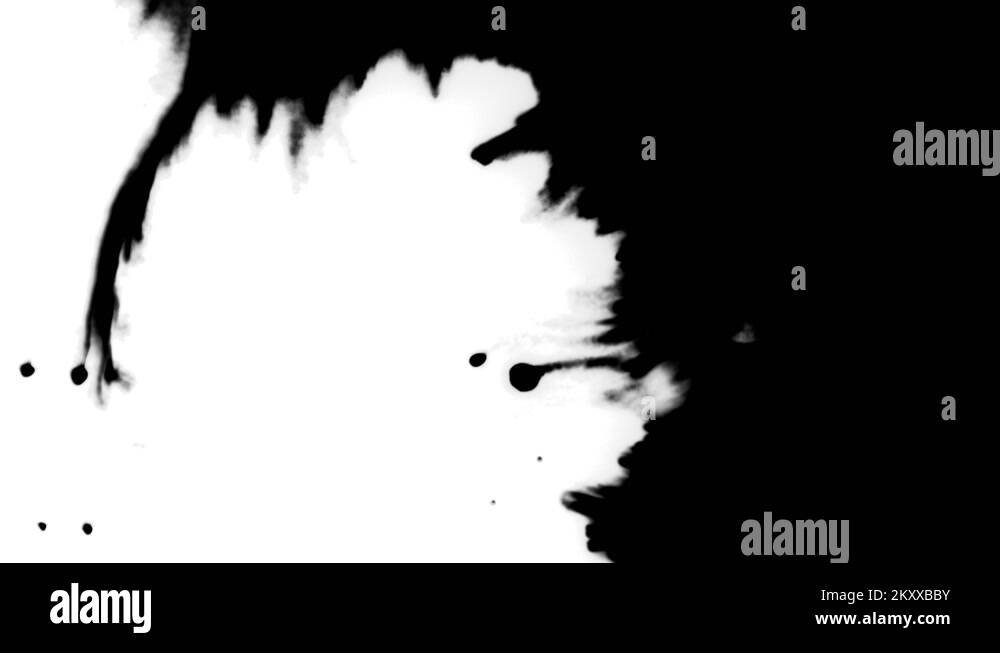 Black spray paint spot splash on white Stock Videos & Footage HD and