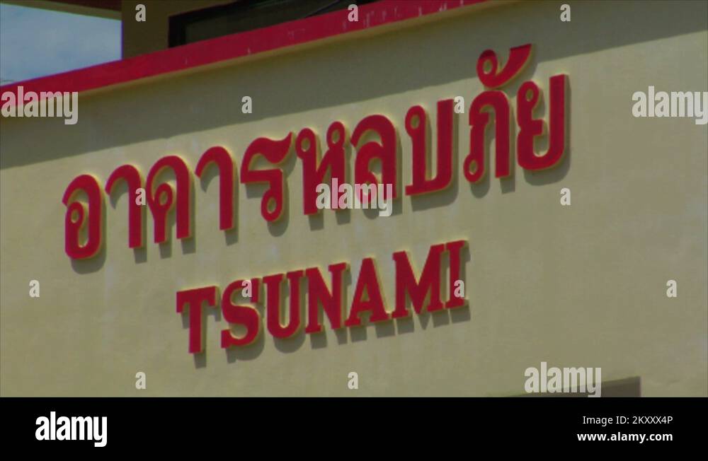 Zoom tsunami