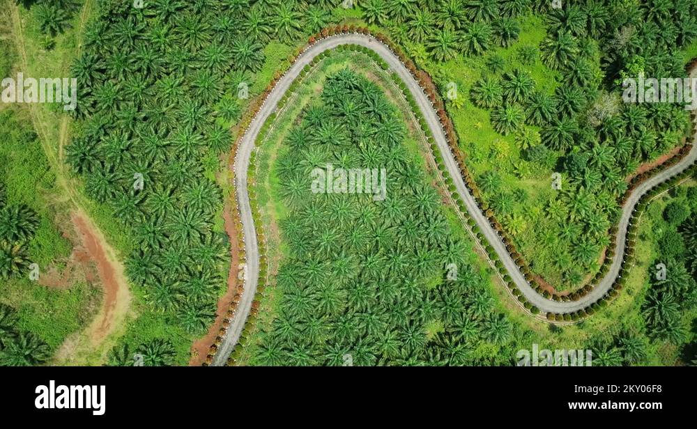 Meander road Stock Videos & Footage HD and 4K Video Clips Alamy