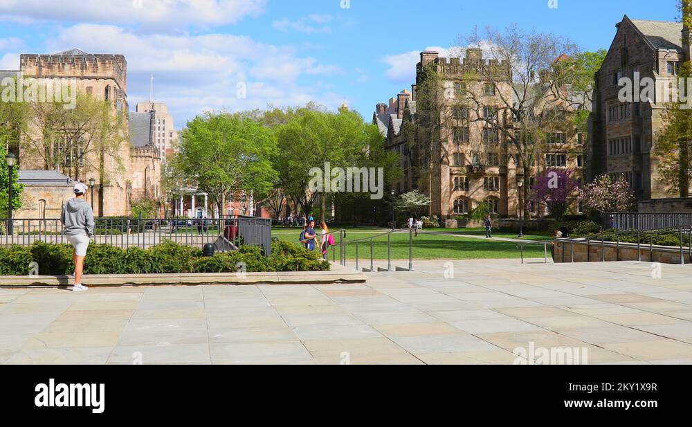 Yale University Building Stock Videos Footage Hd And 4k Video Clips Yale University Building Stock Videos Footage Hd And 4k Video Clips