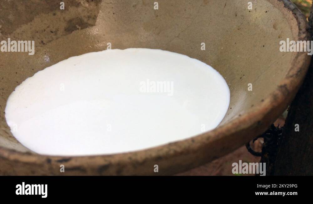 Latex vessel Stock Videos & Footage HD and 4K Video Clips Alamy