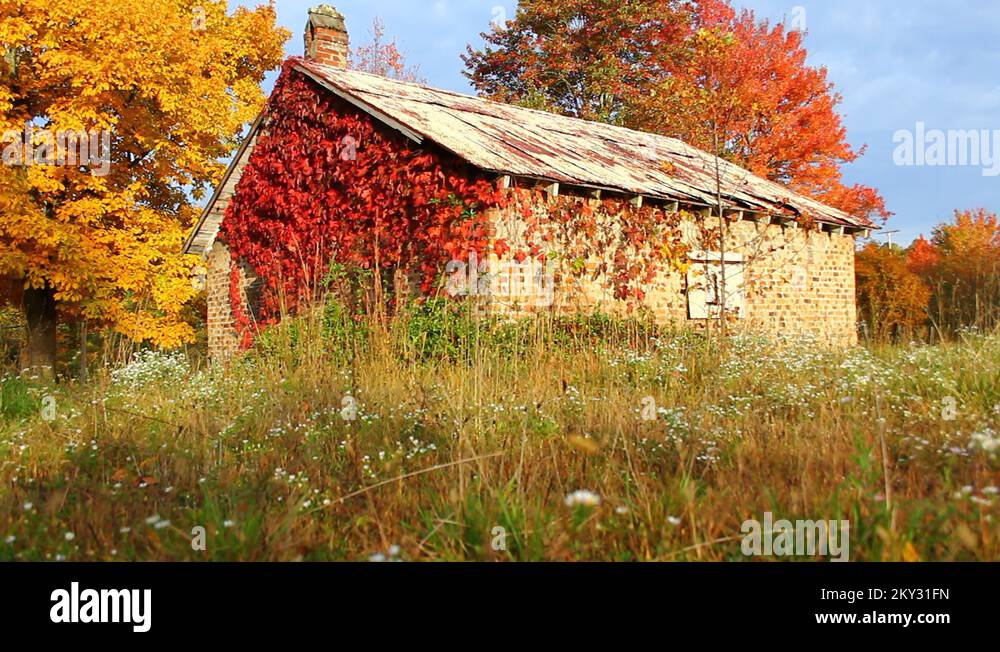 Stonebuilding Stock Videos & Footage - HD and 4K Video Clips - Alamy