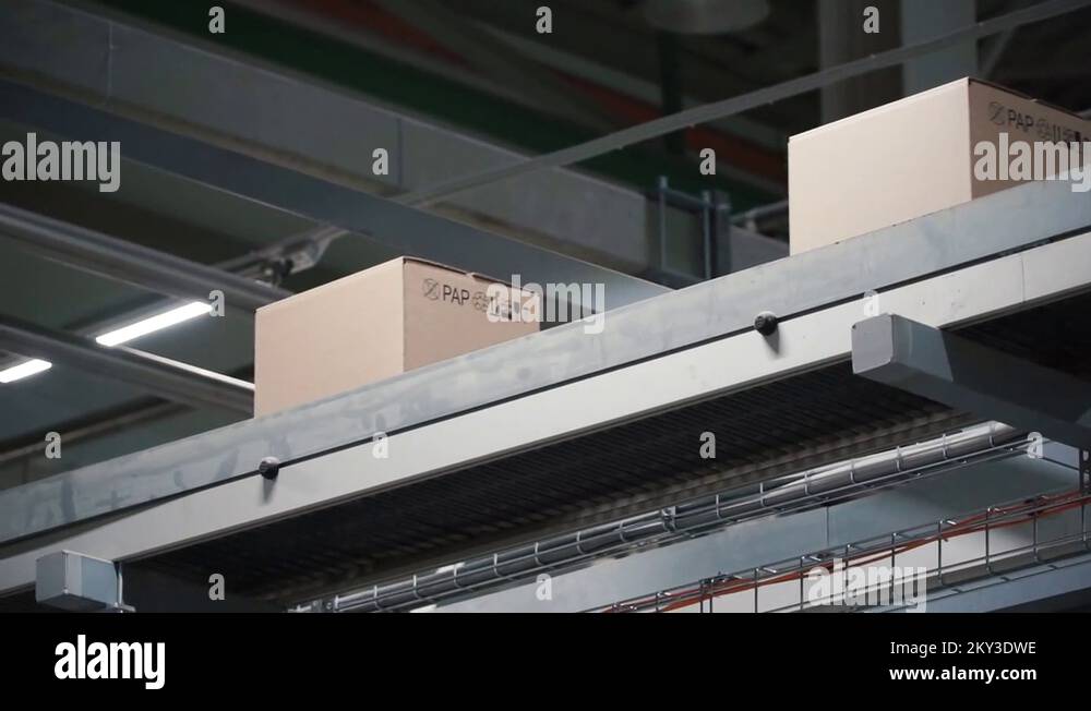 Automation Cardboard boxes on conveyor belt in factory. Clip. Boxes moving on Stock Video