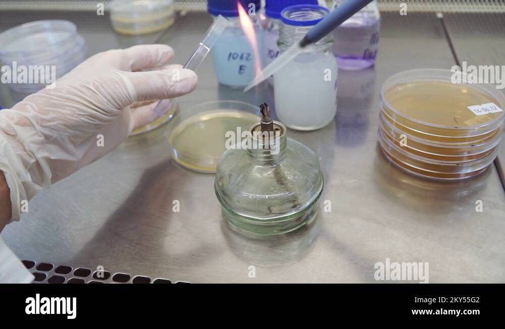 Bunsen burner test tube Stock Videos & Footage HD and 4K Video Clips