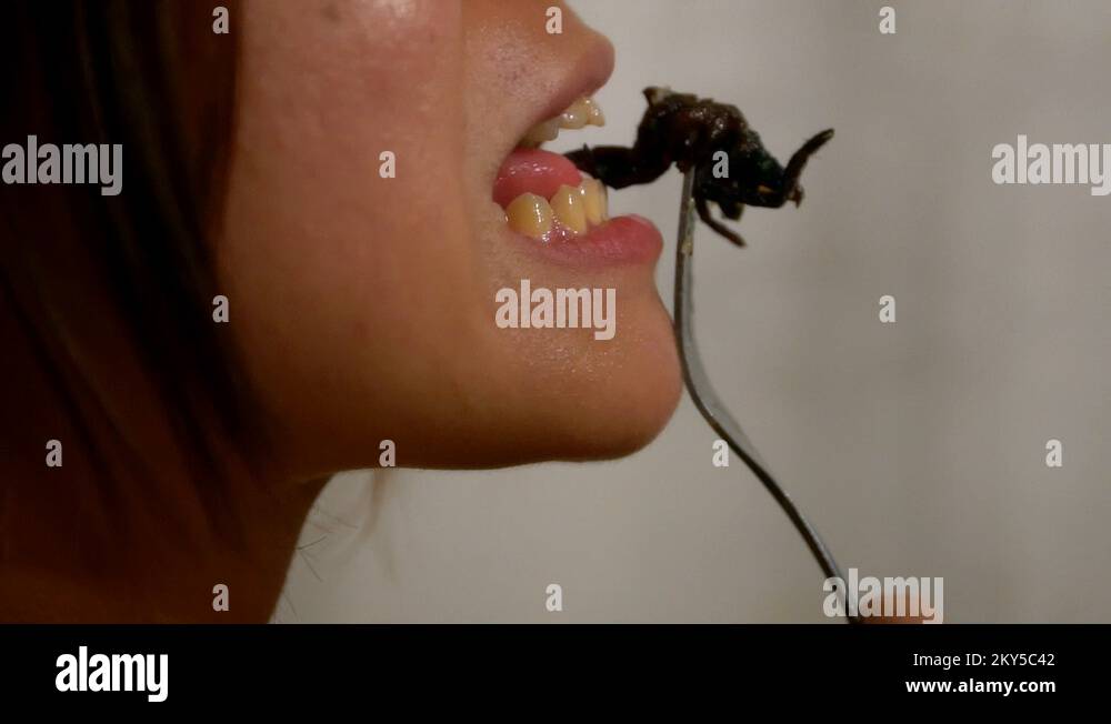 Woman Eating Insect Woman eating insect Stock Videos & Footage - HD and 4K Video Clips - Alamy