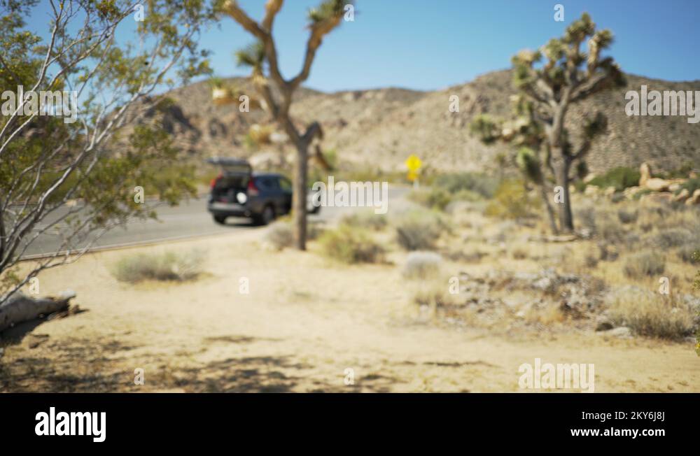 Family car parked at a trail in Joshua tree for green screen Stock