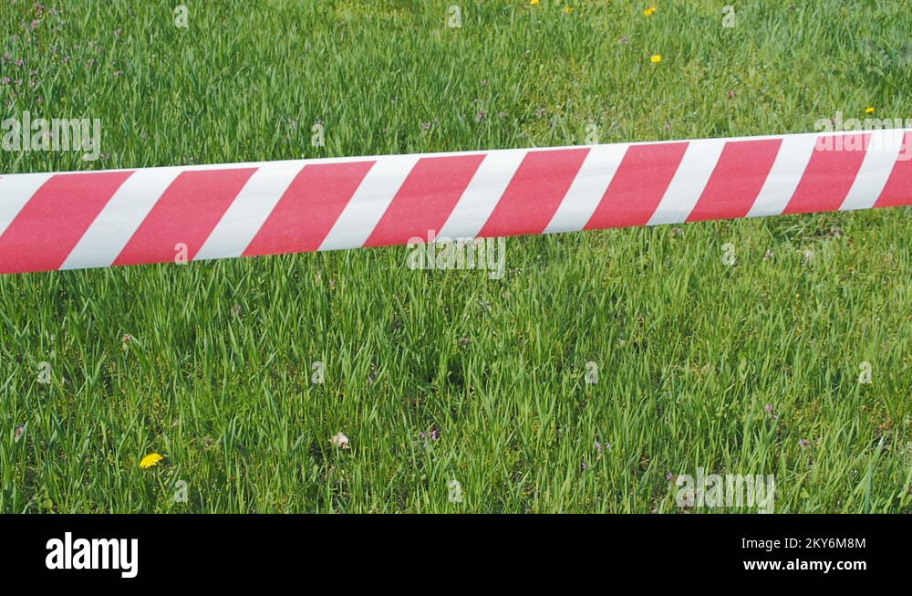 Tape grass Stock Videos & Footage HD and 4K Video Clips Alamy
