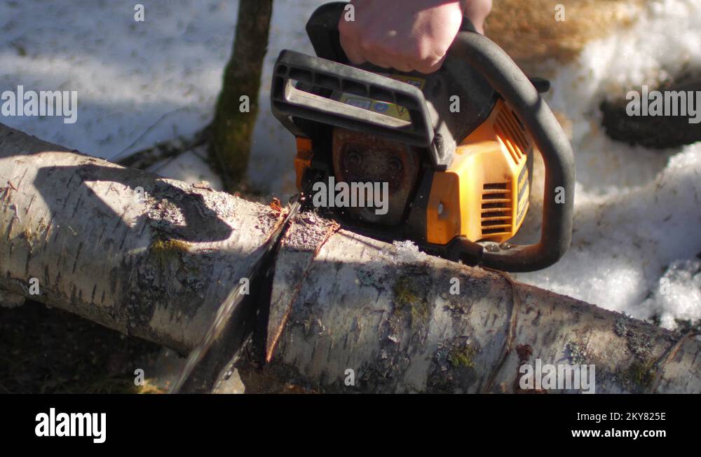 Jammed tree Stock Videos & Footage HD and 4K Video Clips Alamy