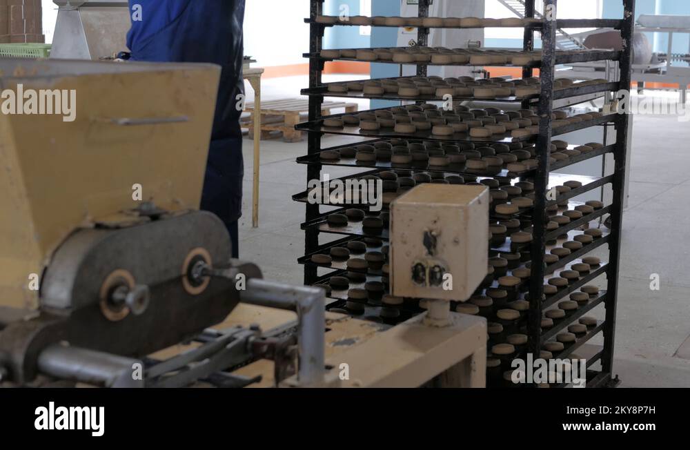 Cakes on automatic conveyor belt or line, process of baking in confectionery Stock Video Footage