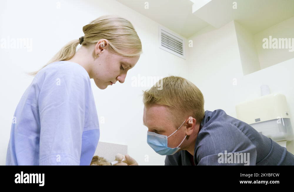 Exotic animal. The vet examining a domestic rabbit in a veterinary