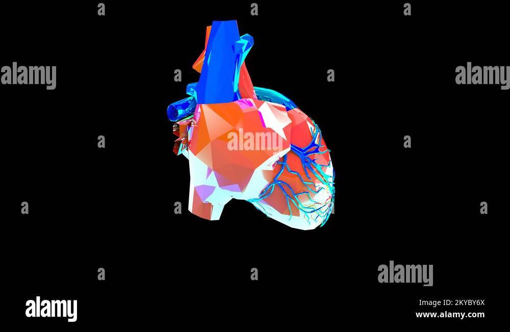 Artificial human organs Stock Videos & Footage HD and 4K Video Clips