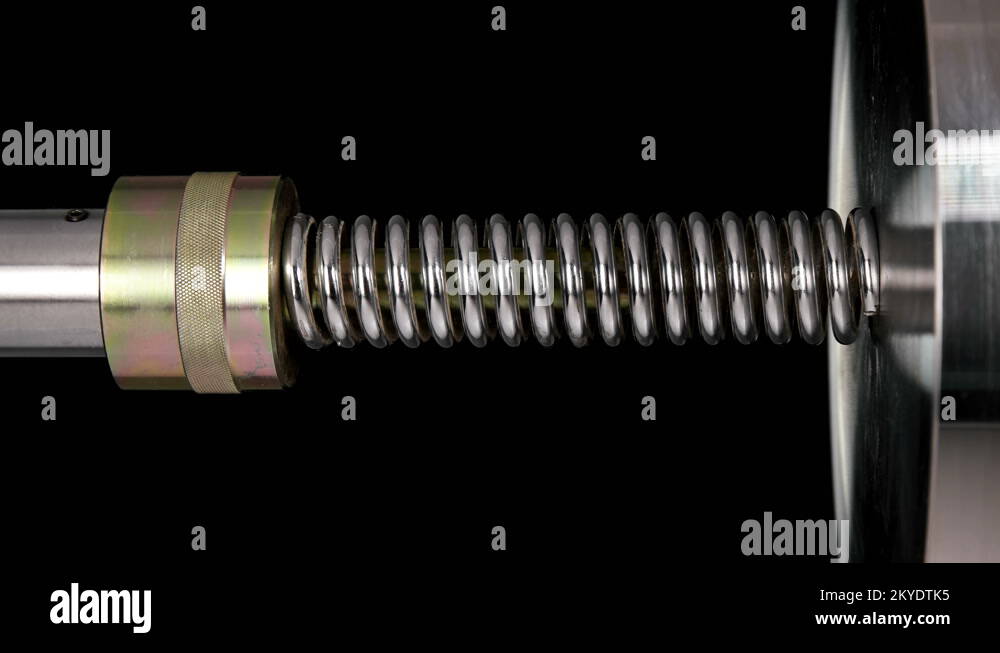 Reliability of the test Stock Videos & Footage - HD and 4K Video Clips ...