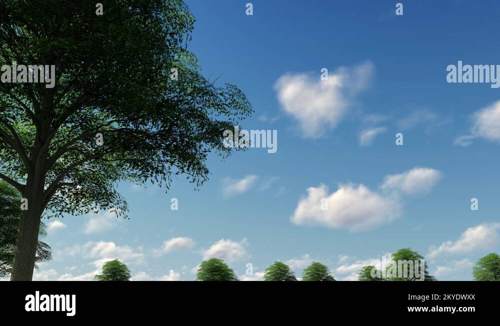 Badajoz airport Stock Videos & Footage HD and 4K Video Clips Alamy