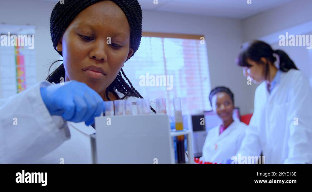 Laboratory technician checking blood sample 4k Stock Video Footage Alamy