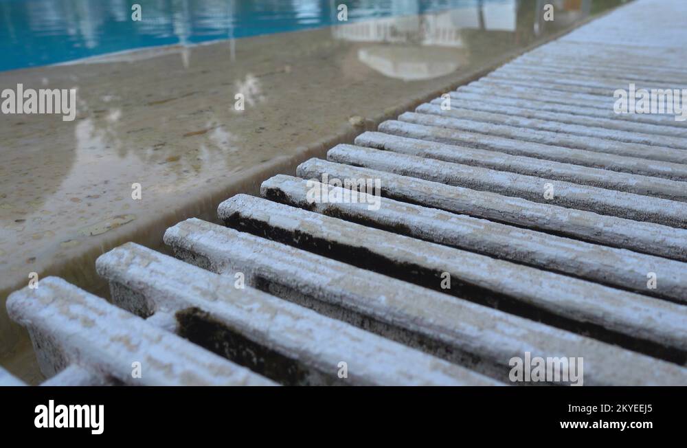 Wet water damp old fungus Stock Videos & Footage HD and 4K Video