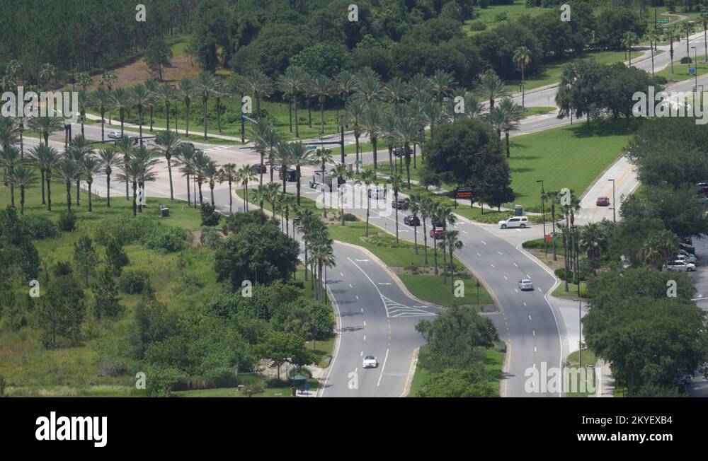 aerial-view-palm-trees-lining-highway-traffic-in-florida-2kyexb4.jpg